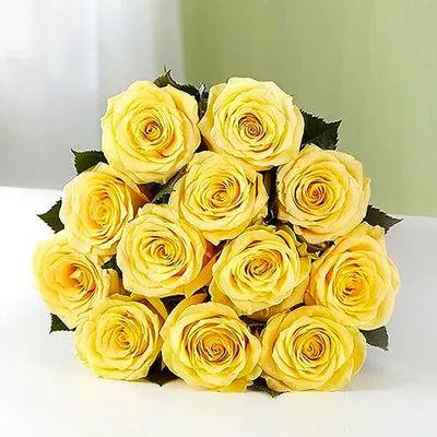 One Dozen Yellow Roses