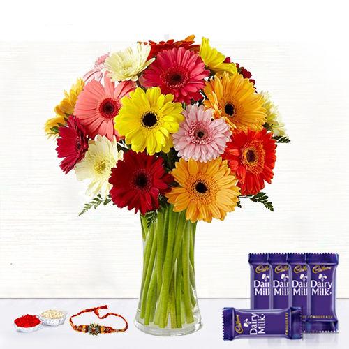 24 Gerberas in Vase - Rakhi & Dairy Milk