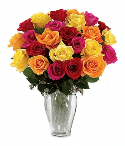 Two Dozen Assorted Roses