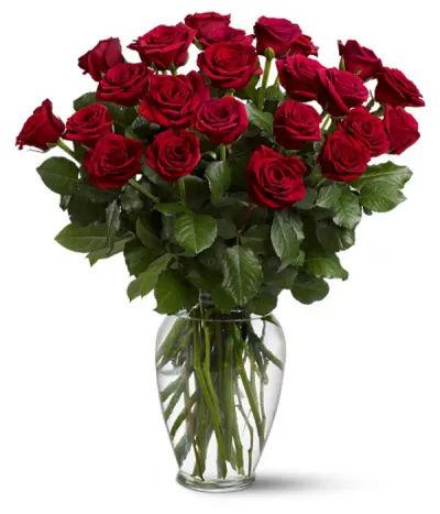 Two Dozen Red Roses