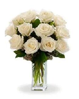 Dozen White Roses