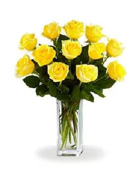 Dozen Yellow Roses