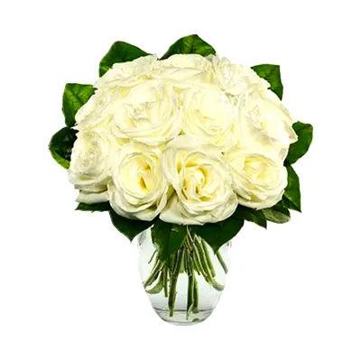 One Dozen White Roses