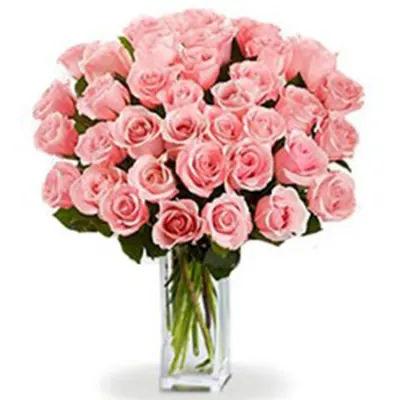 Best 36 Pink Roses