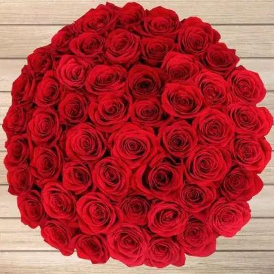 Floral 50 Red Roses Surprise