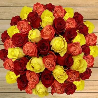 50 Red Orange & Yellow Roses