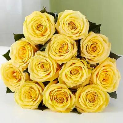 12 Yellow Roses