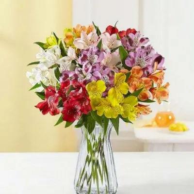 Peruvian Lilies In Vase